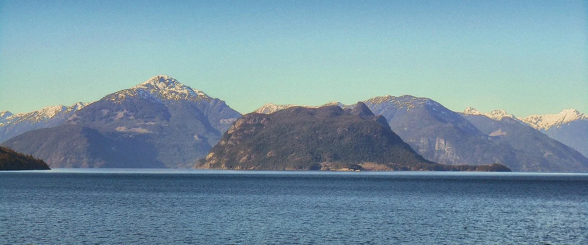 How to Calculate Profit Margins and Improve Business Profitability in 2026